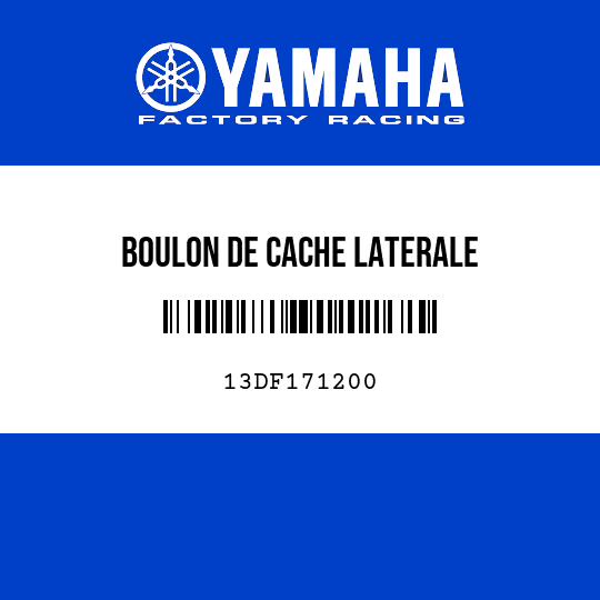 BOULON DE CACHE LATERALE