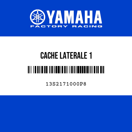 CACHE LATERALE 1