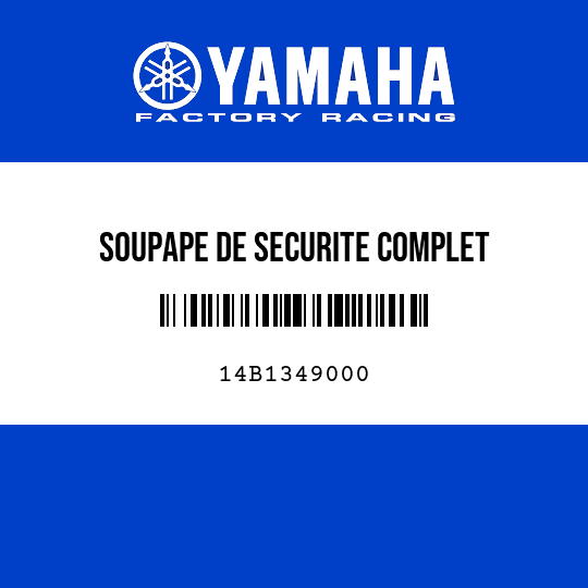 SOUPAPE DE SECURITE COMPLET