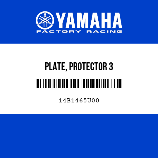 PLATE, PROTECTOR 3