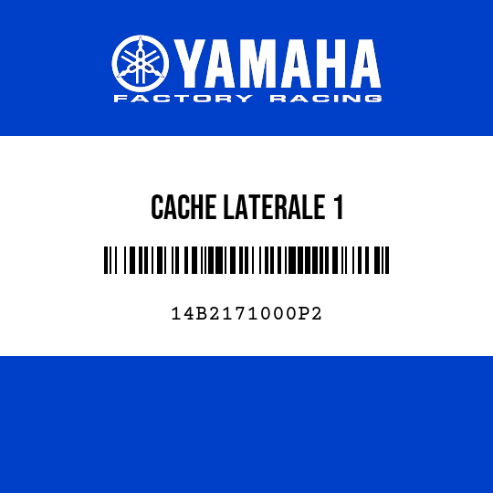 CACHE LATERALE 1