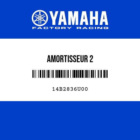 AMORTISSEUR 2