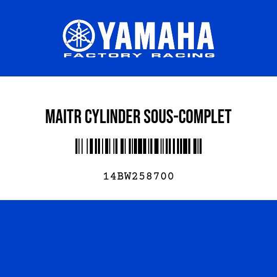 MAITR CYLINDER SOUS-COMPLET