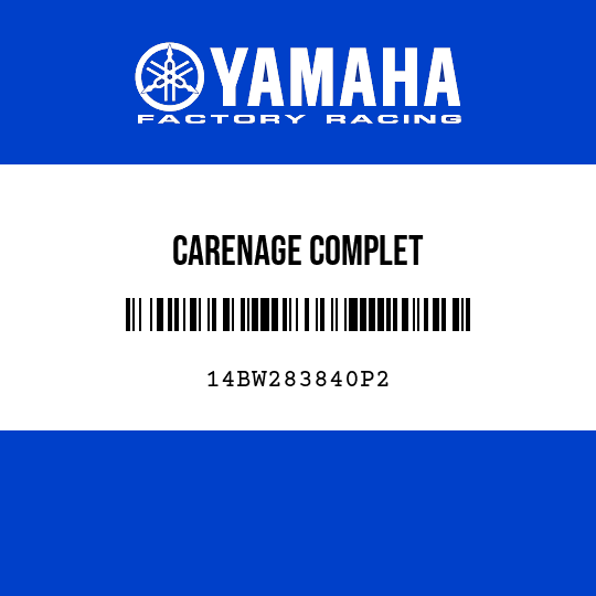 CARENAGE COMPLET