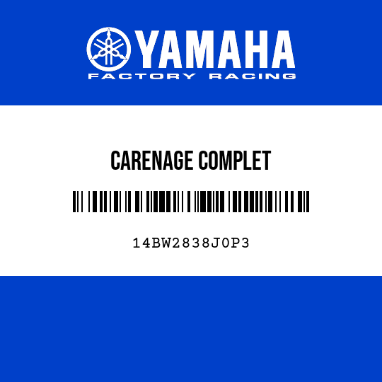 CARENAGE COMPLET