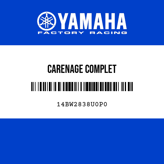 CARENAGE COMPLET