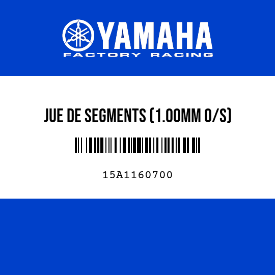 JUE DE SEGMENTS (1.00MM O/S)