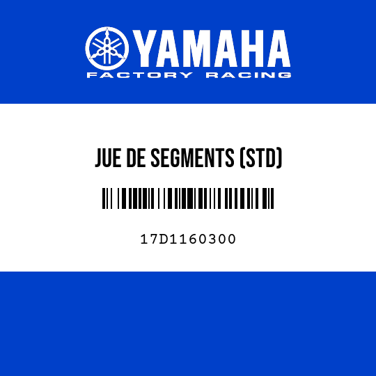 JUE DE SEGMENTS (STD)