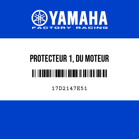 PROTECTEUR 1, DU MOTEUR