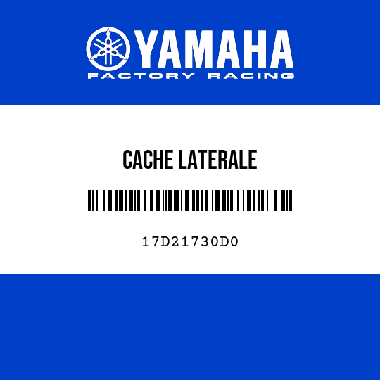 CACHE LATERALE