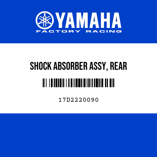 SHOCK ABSORBER ASSY, REAR