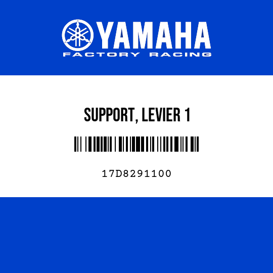 SUPPORT, LEVIER 1