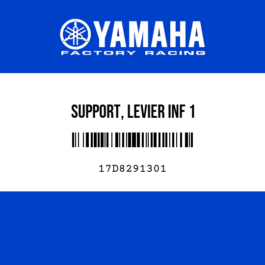 SUPPORT, LEVIER INF 1