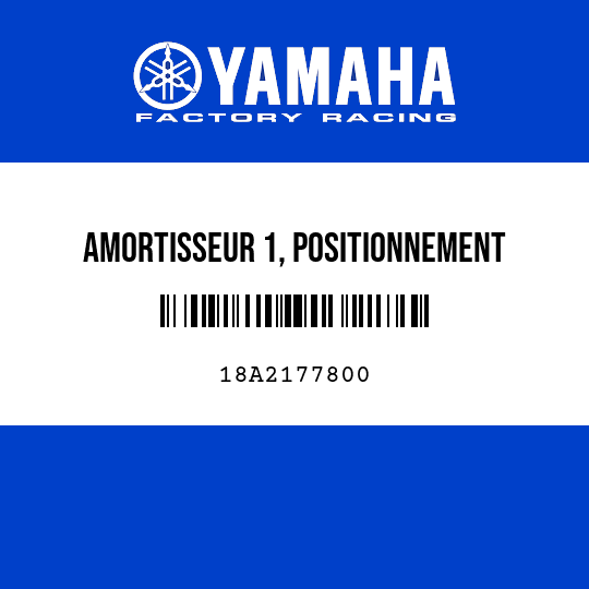 AMORTISSEUR 1, POSITIONNEMENT