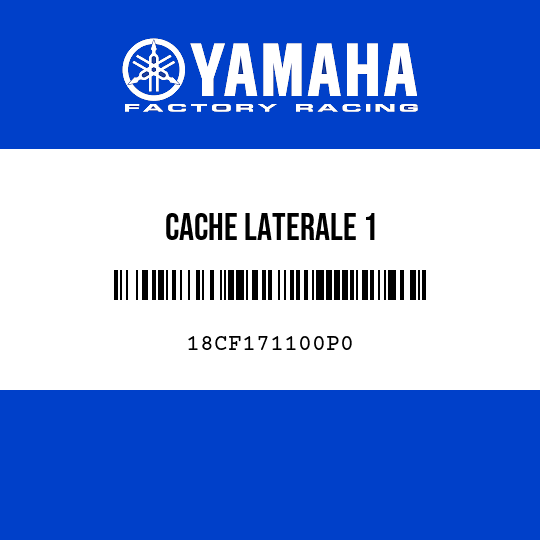 CACHE LATERALE 1
