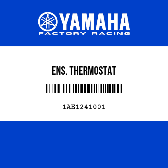 ENS. THERMOSTAT