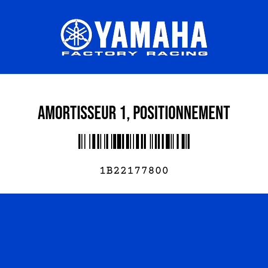 AMORTISSEUR 1, POSITIONNEMENT