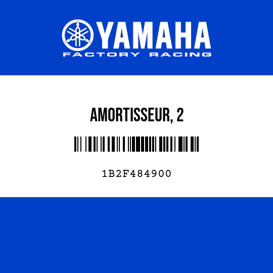 AMORTISSEUR, 2