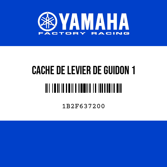 CACHE DE LEVIER DE GUIDON 1