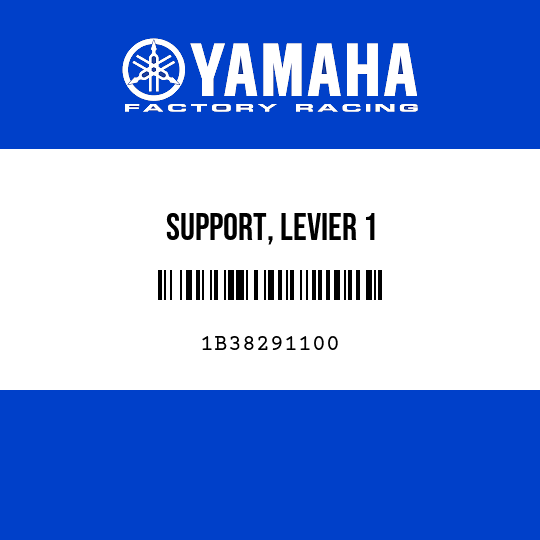SUPPORT, LEVIER 1
