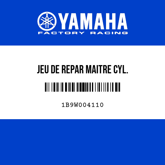 JEU DE REPAR MAITRE CYL.