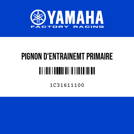 PIGNON D'ENTRAINEMT PRIMAIRE