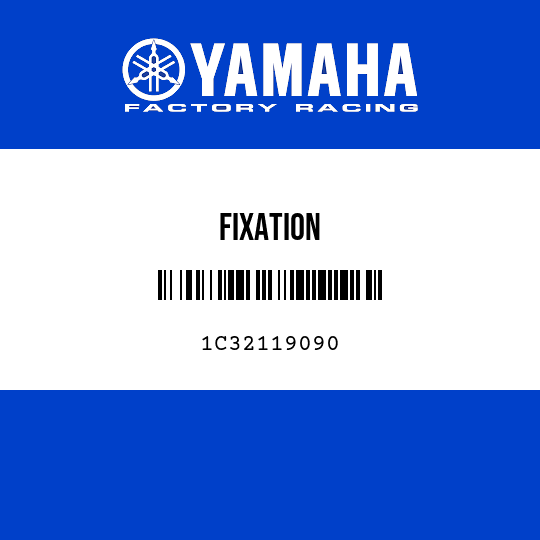 FIXATION
