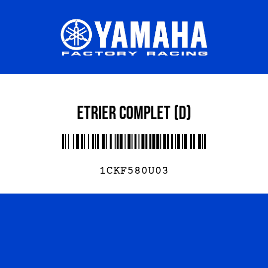 ETRIER COMPLET (D)