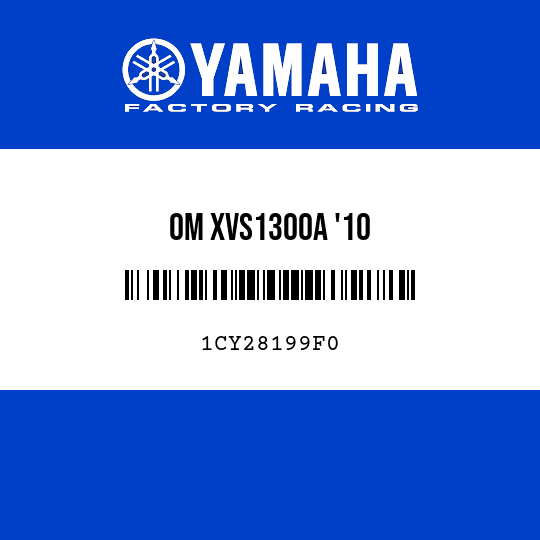OM XVS1300A '10