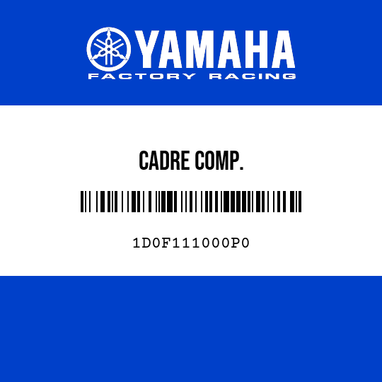 CADRE COMP.