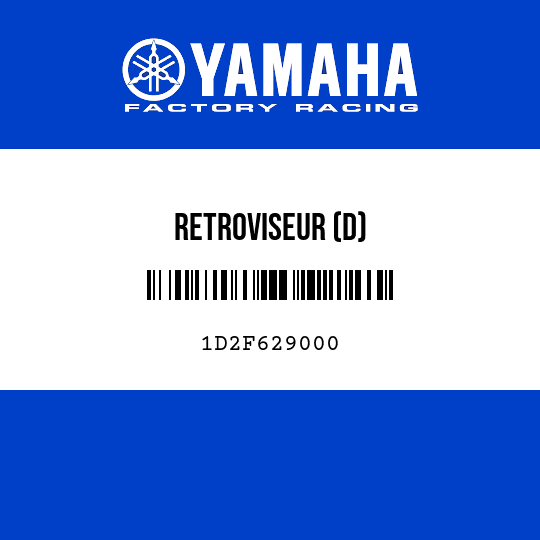 RETROVISEUR (D)