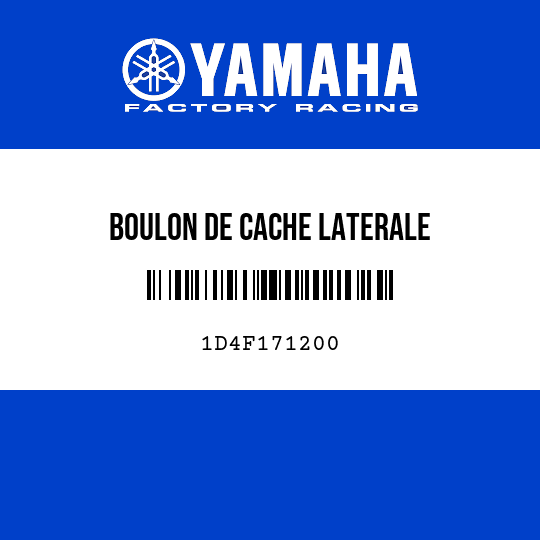 BOULON DE CACHE LATERALE