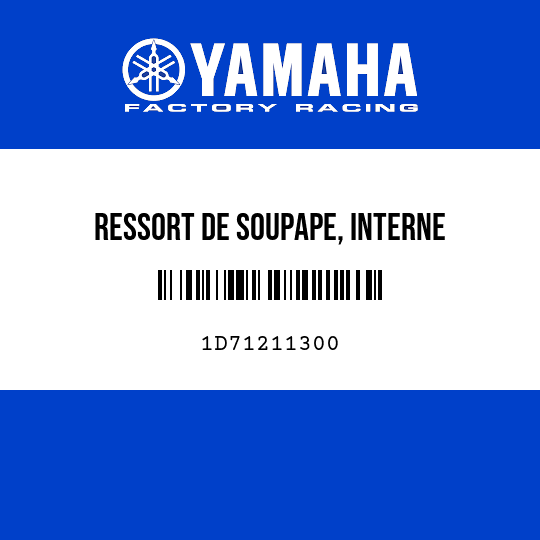 RESSORT DE SOUPAPE, INTERNE