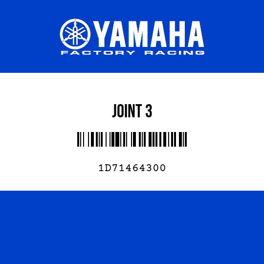 JOINT 3