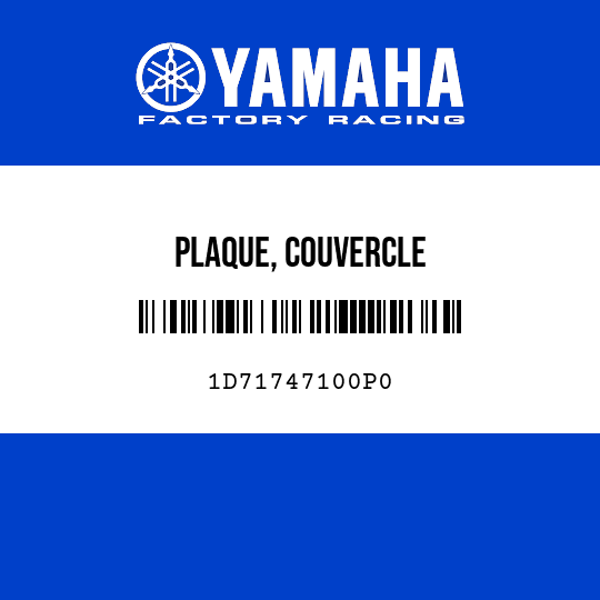 PLAQUE, COUVERCLE