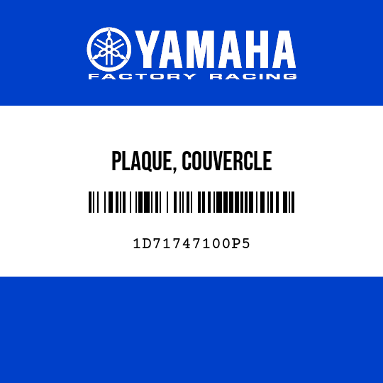 PLAQUE, COUVERCLE