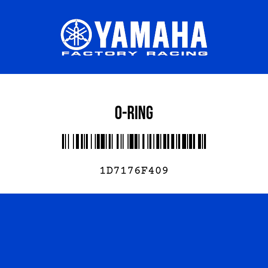O-RING