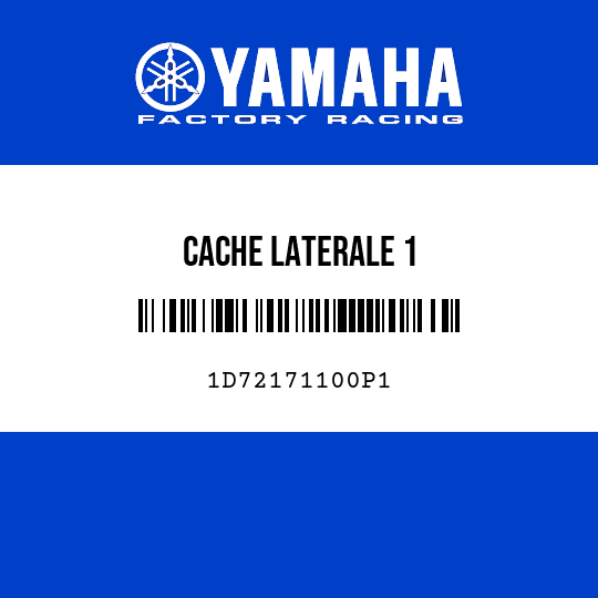 CACHE LATERALE 1
