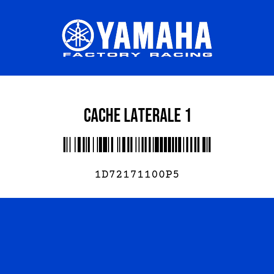 CACHE LATERALE 1