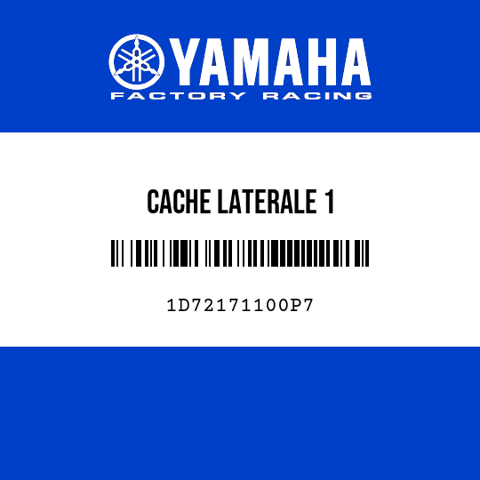 CACHE LATERALE 1