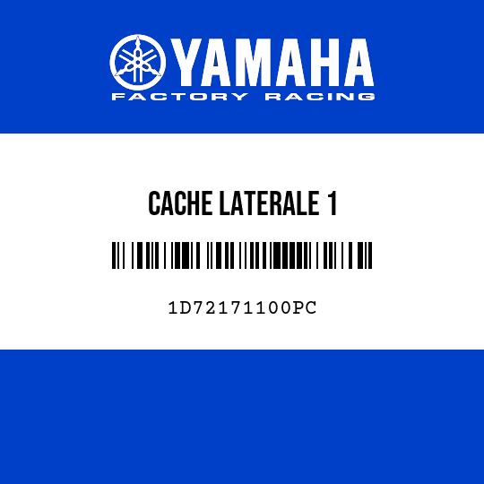 CACHE LATERALE 1