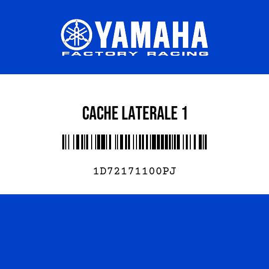 CACHE LATERALE 1