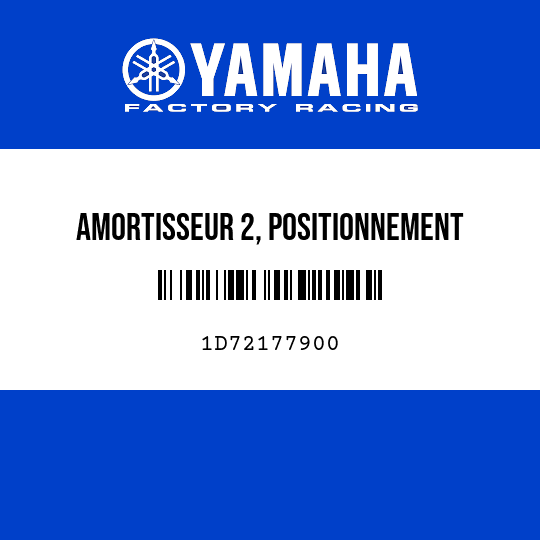 AMORTISSEUR 2, POSITIONNEMENT