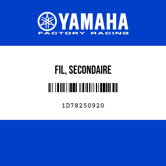 FIL, SECONDAIRE