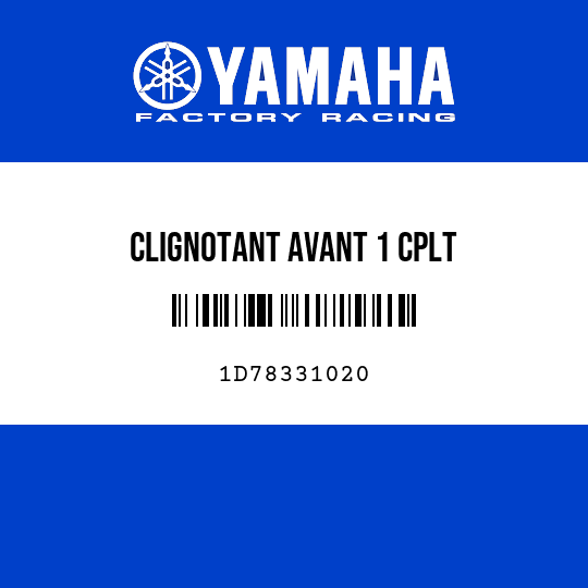 CLIGNOTANT AVANT 1 CPLT