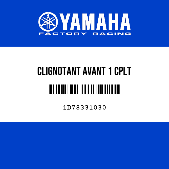 CLIGNOTANT AVANT 1 CPLT