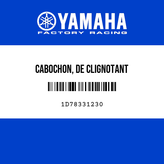 CABOCHON, DE CLIGNOTANT