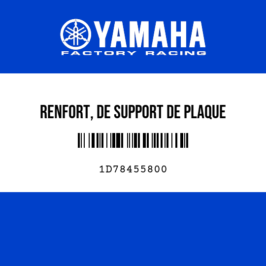 RENFORT, DE SUPPORT DE PLAQUE