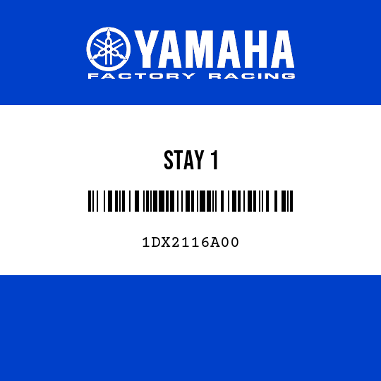 STAY 1