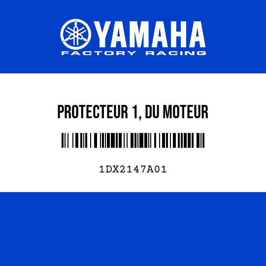 PROTECTEUR 1, DU MOTEUR